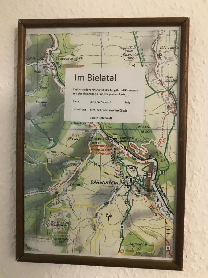 Ferienwohnung Uhlig Altenberg  Exteriör bild